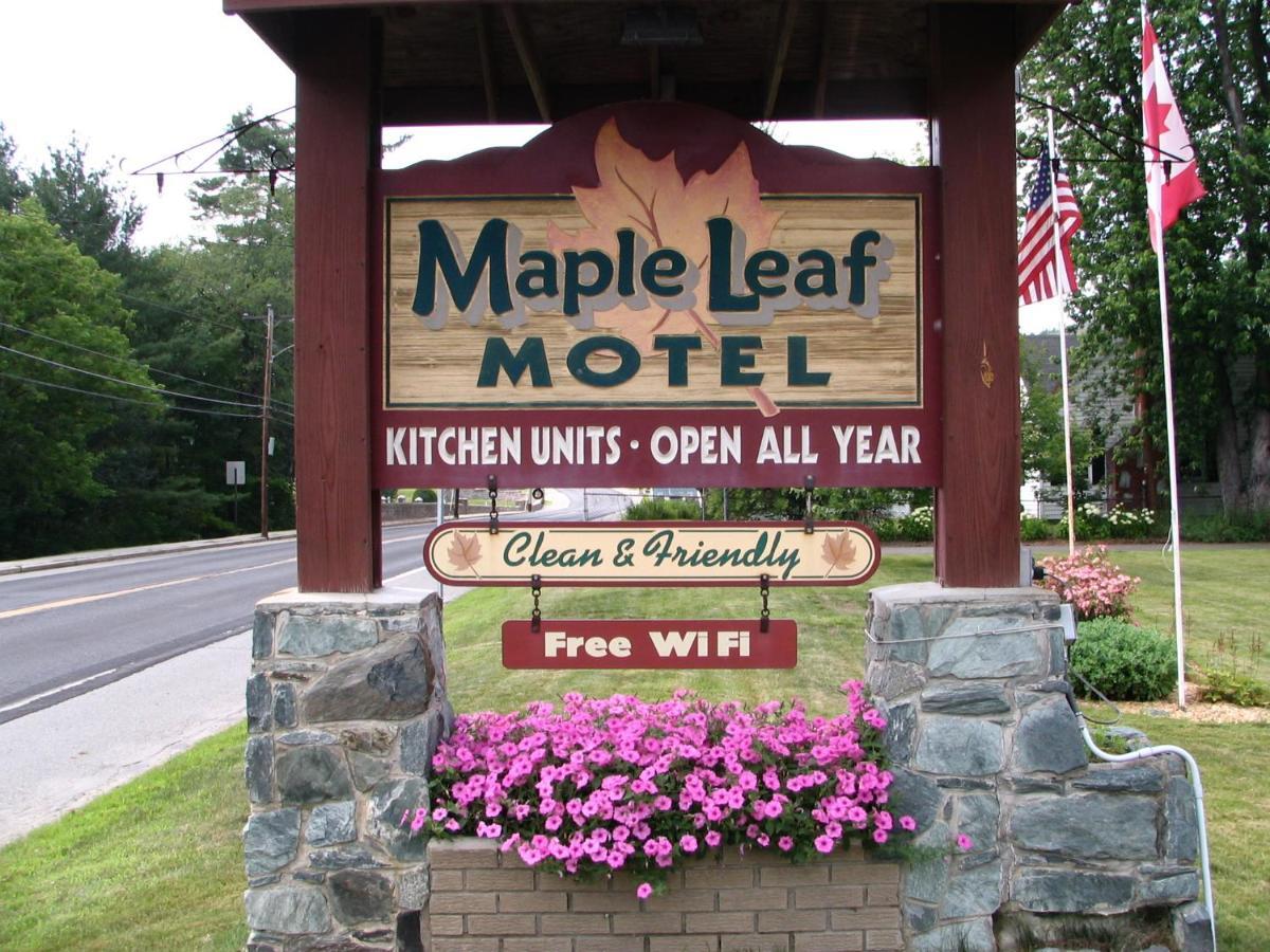 Maple Leaf Motel ลิตเติลตัน ภายนอก รูปภาพ